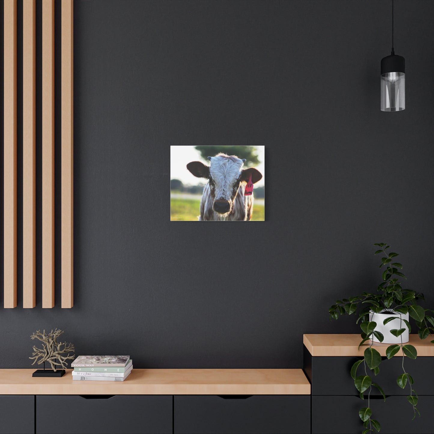 Texas Longhorn Calf Canvas Print