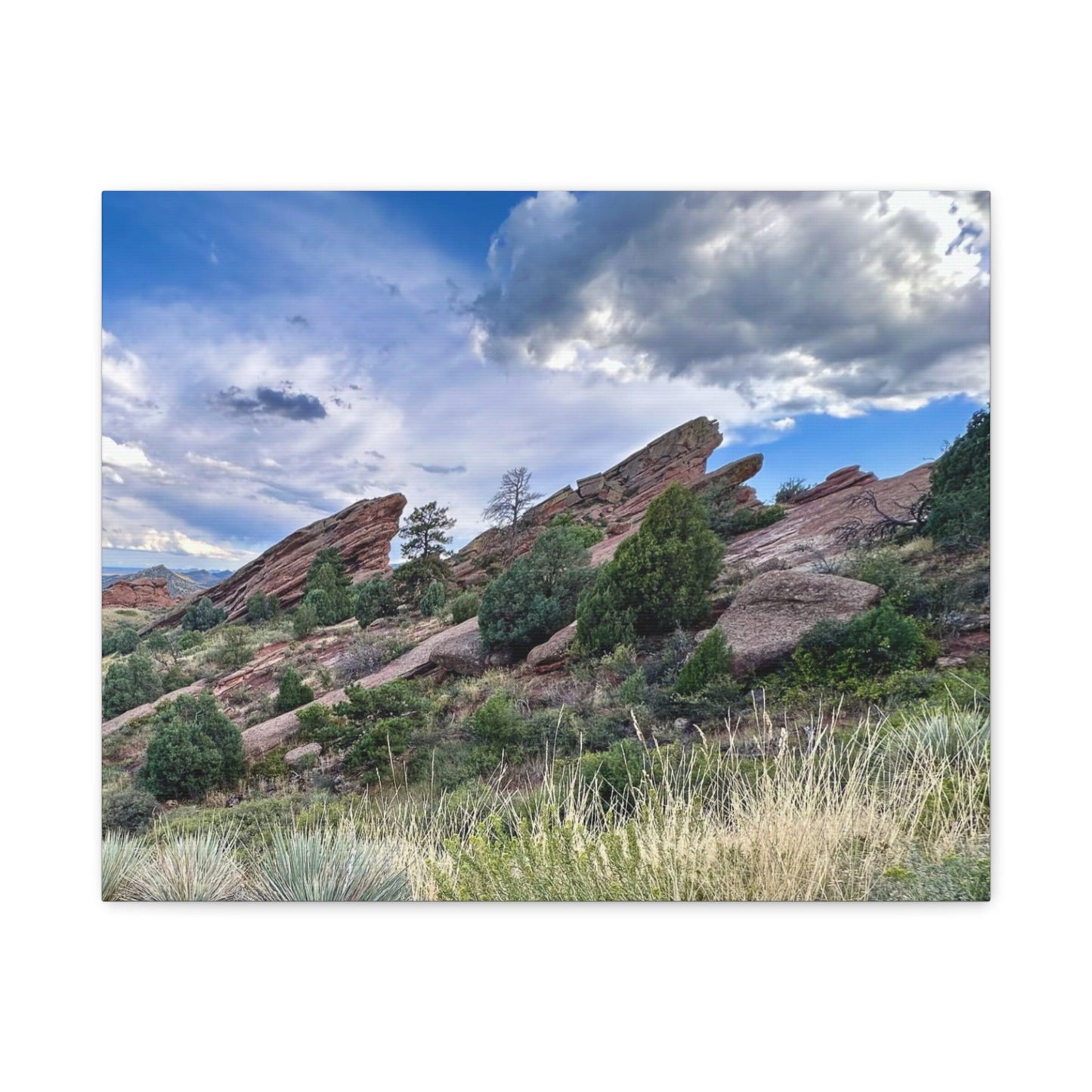 Red Rocks, Colorado Canvas Print