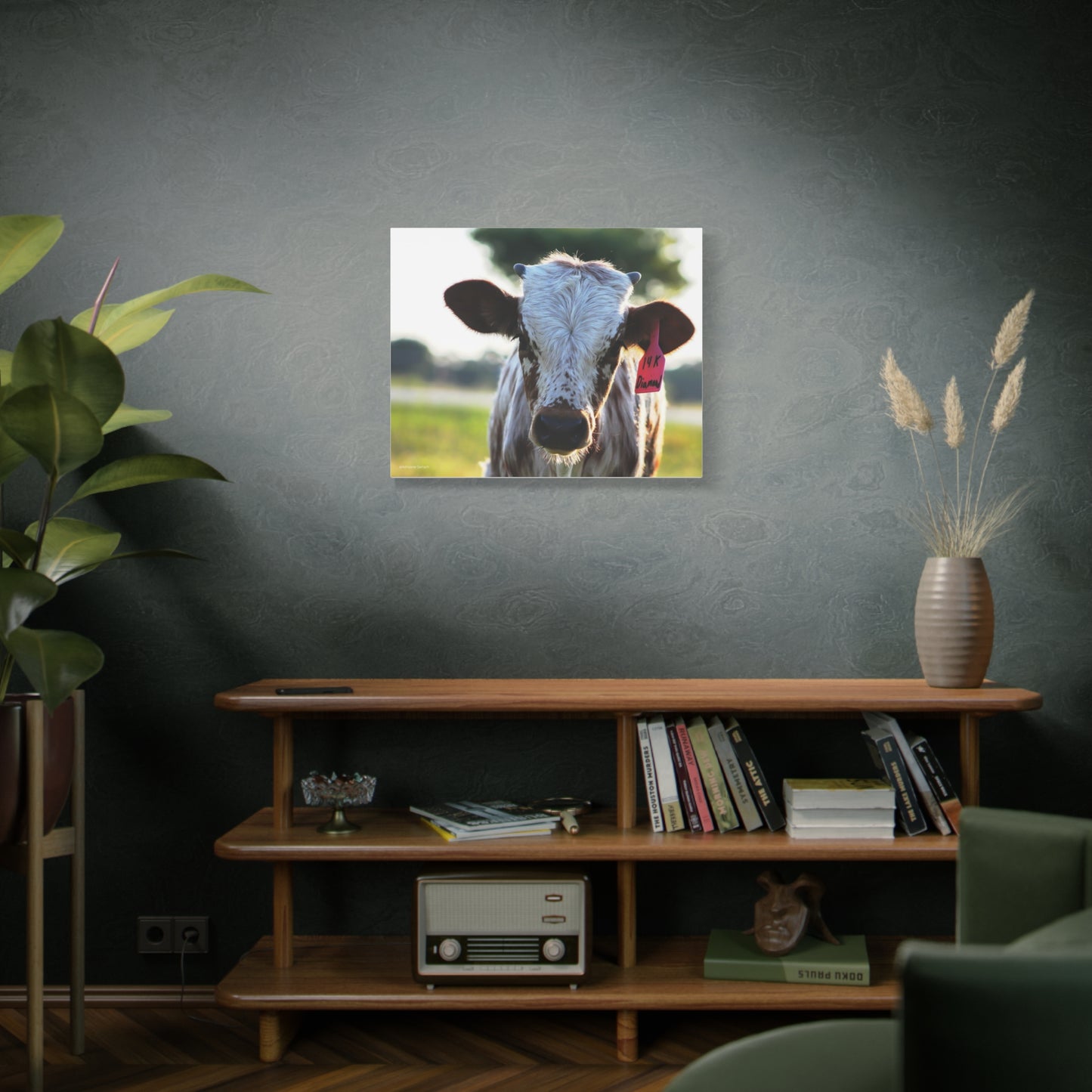 Texas Longhorn Calf Canvas Print