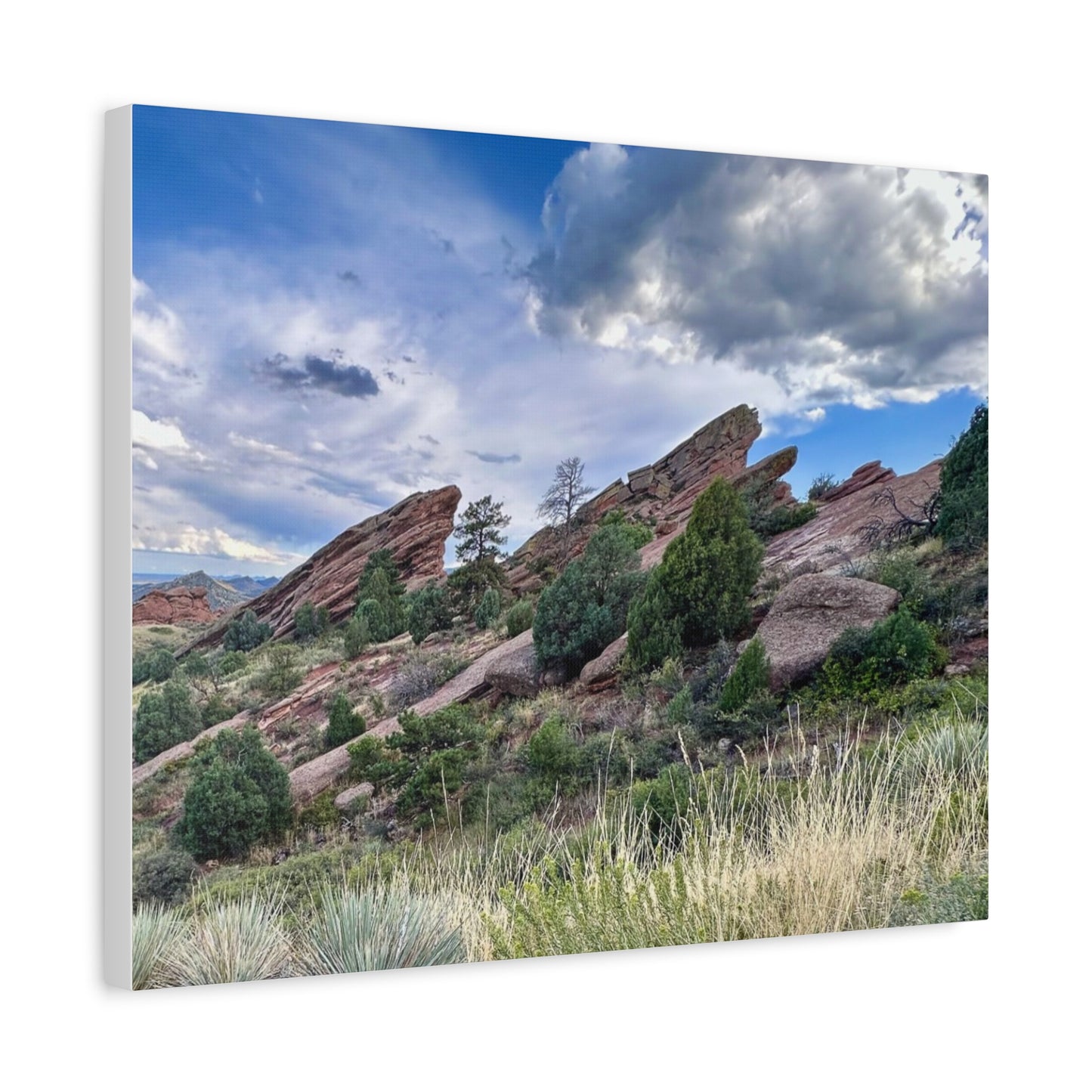 Red Rocks, Colorado Canvas Print