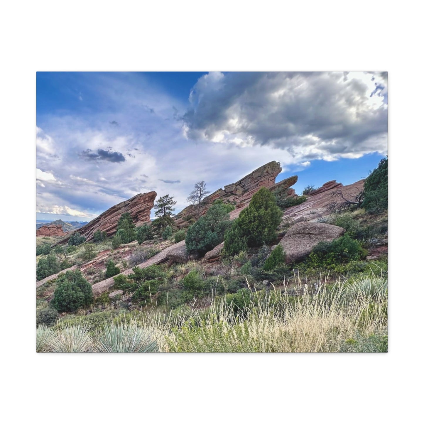 Red Rocks, Colorado Canvas Print