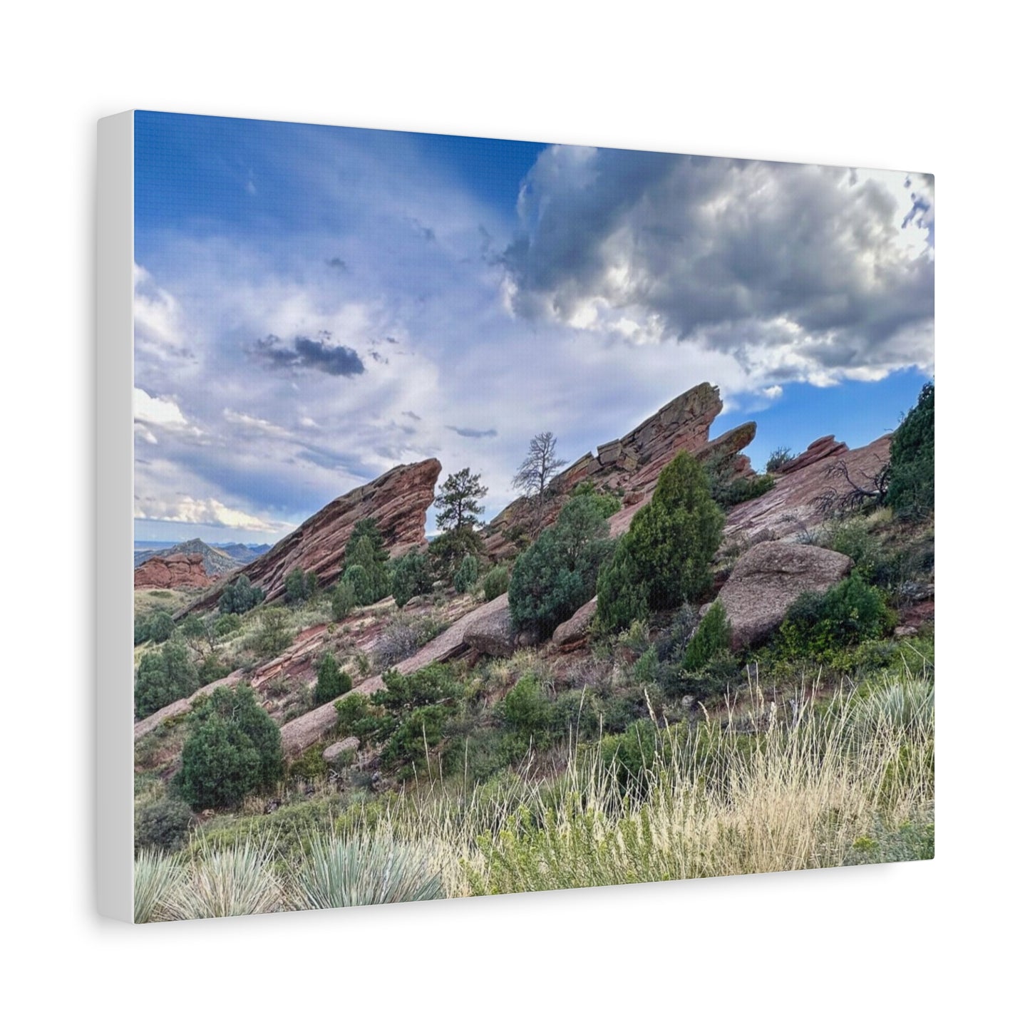 Red Rocks, Colorado Canvas Print