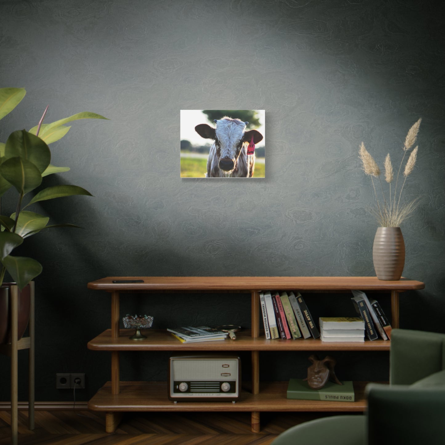 Texas Longhorn Calf Canvas Print