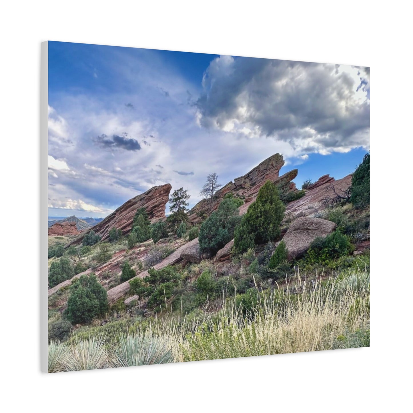 Red Rocks, Colorado Canvas Print
