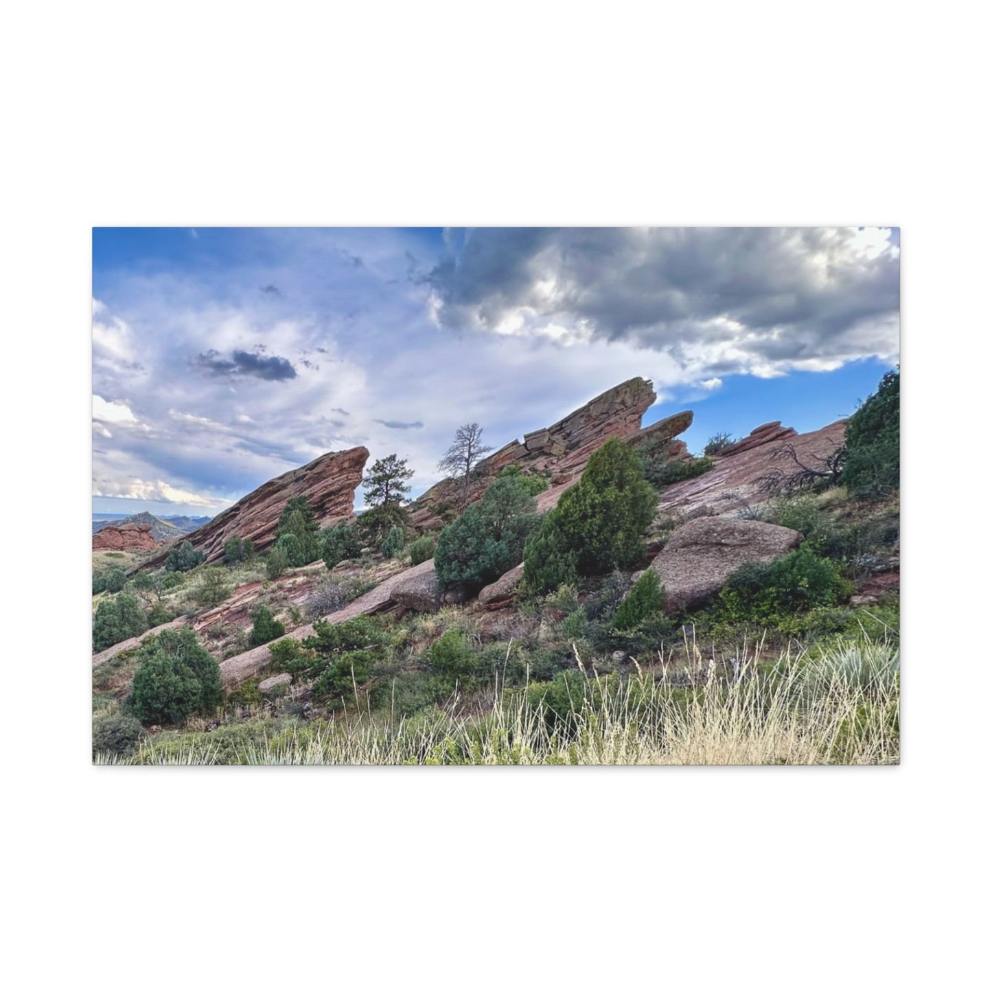 Red Rocks, Colorado Canvas Print