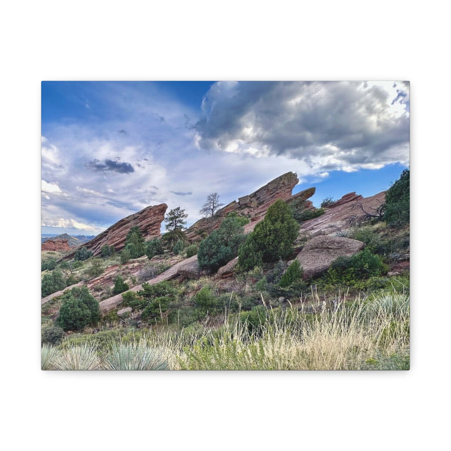 Red Rocks, Colorado Canvas Print