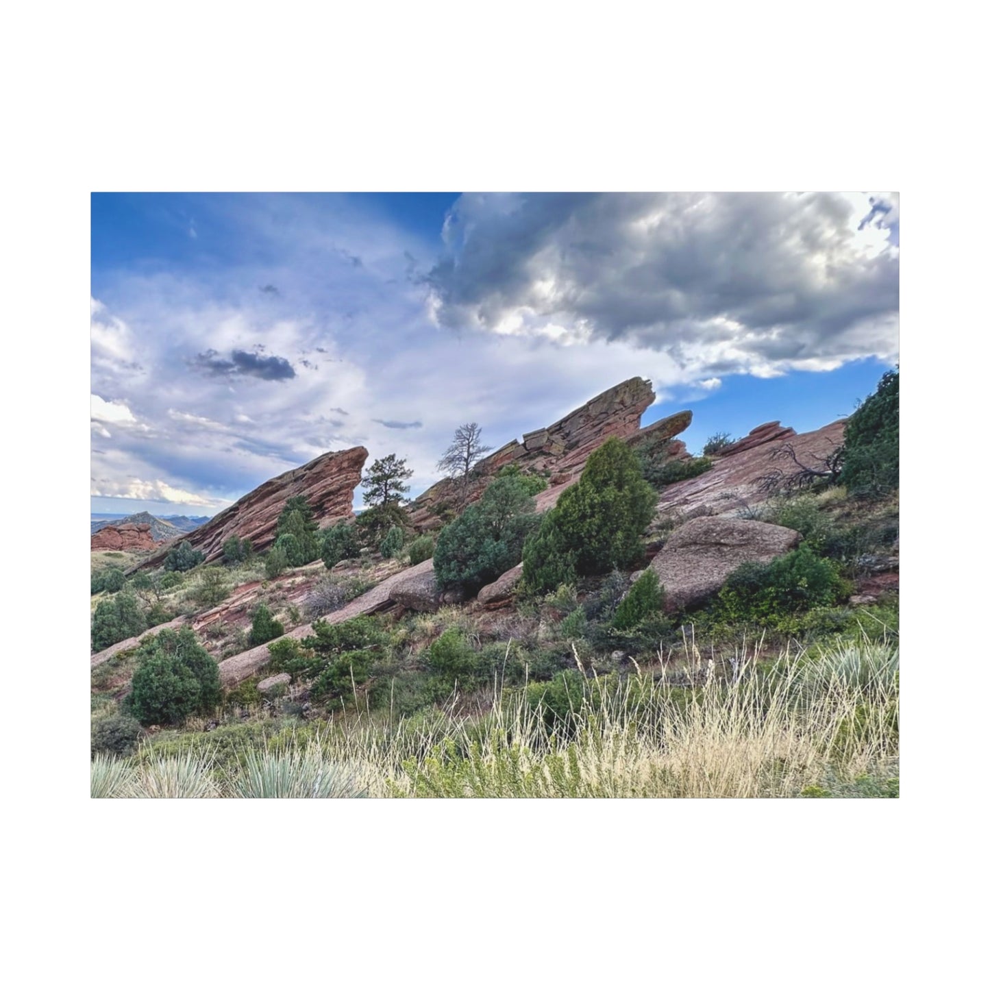 Red Rocks, Colorado Canvas Print